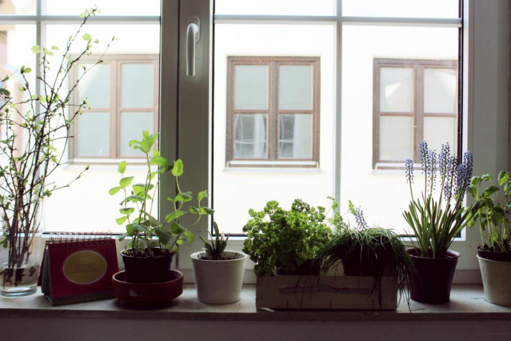 Küchenfenster mit Blumen und Kräutern