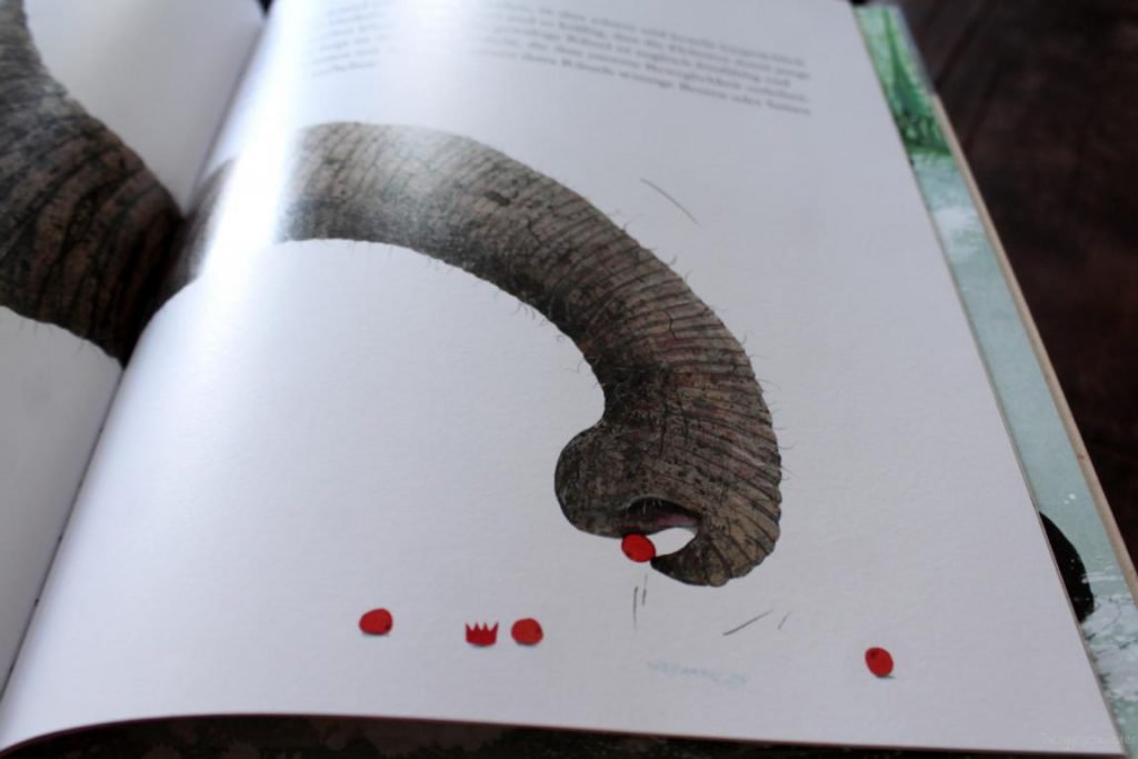 Eine Seite aus dem Buch Der Elefant von Jenni Desmond