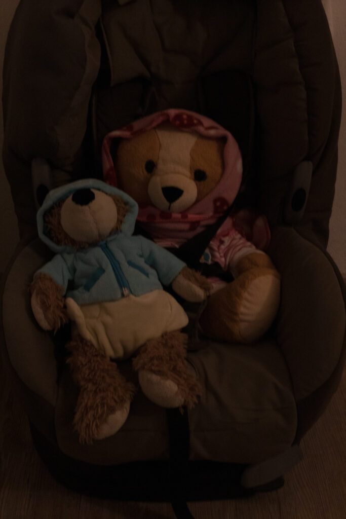 zwei Bären in einem Kindersitz