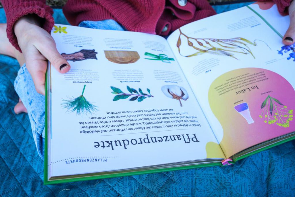 Seiten aus dem Buch Große und kleine Schätze der Natur vom DK Verlag