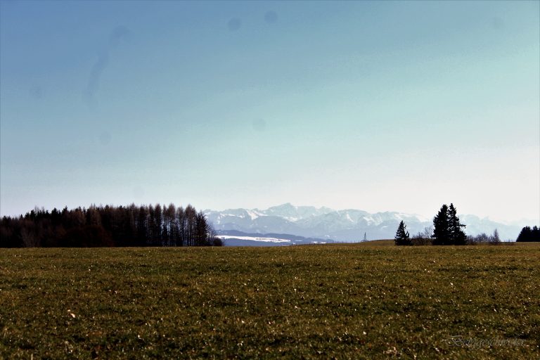 Wochenende in Bildern