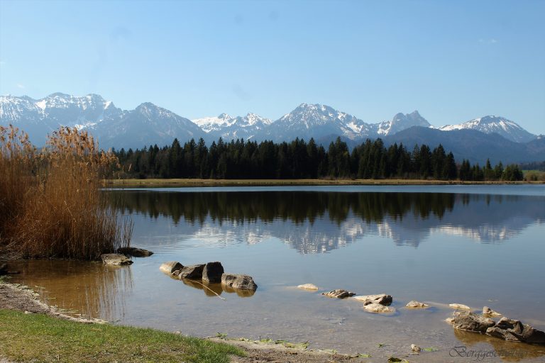 Wochenende in Bildern – endlich wieder zu Hause!