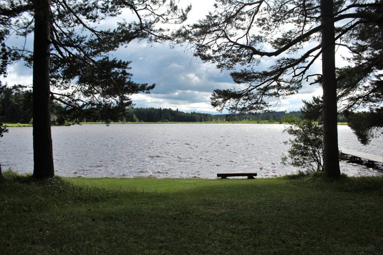 Wochenende in Bildern – Nachmittag am See und ein weiterer Abschied