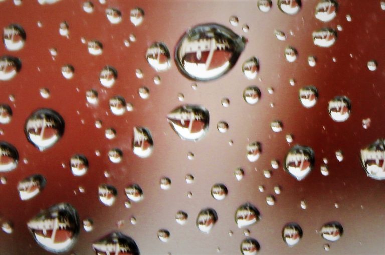 Wochenende in Bildern – ein See, Regen und ein Zahn