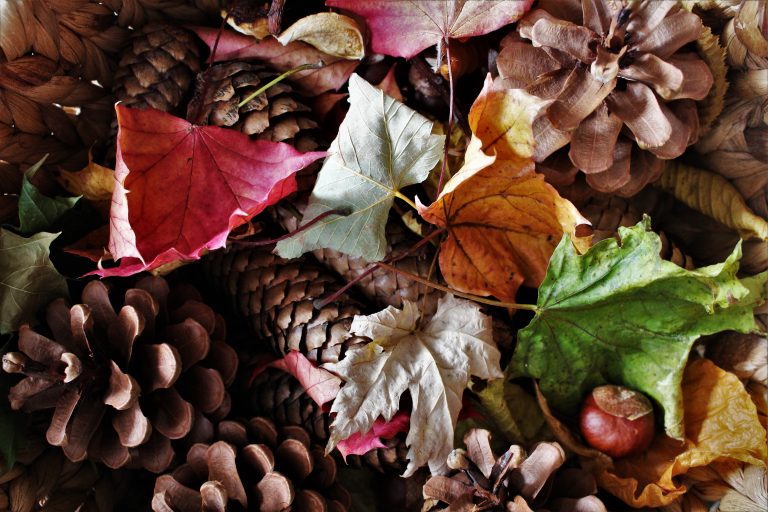 Mit uns durch den Herbst