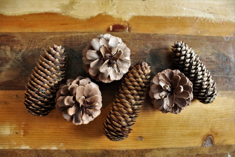 DIY Deko Weihnachtsbaum