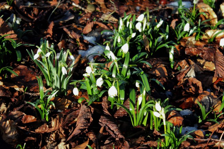 Wochenende in Bildern