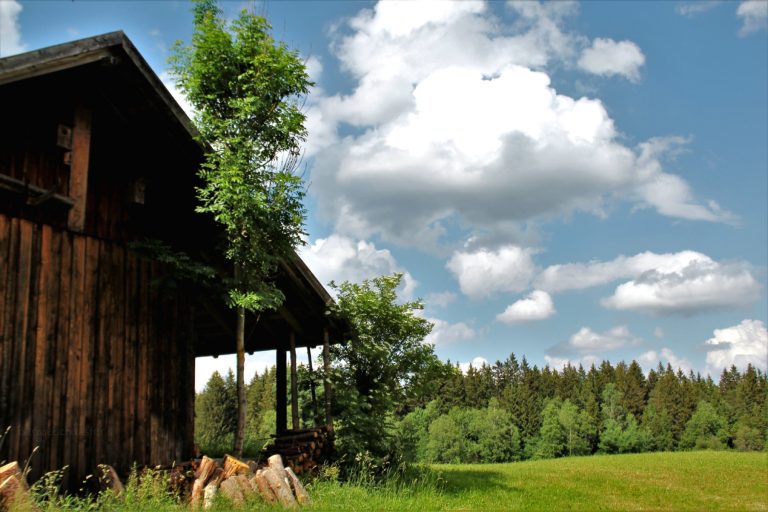 Unterwegs mit Kindern | Der Elbsee Rundwanderweg bei Aitrang (Alläu)