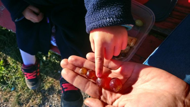 5 Freitagslieblinge in der Herbstsonne