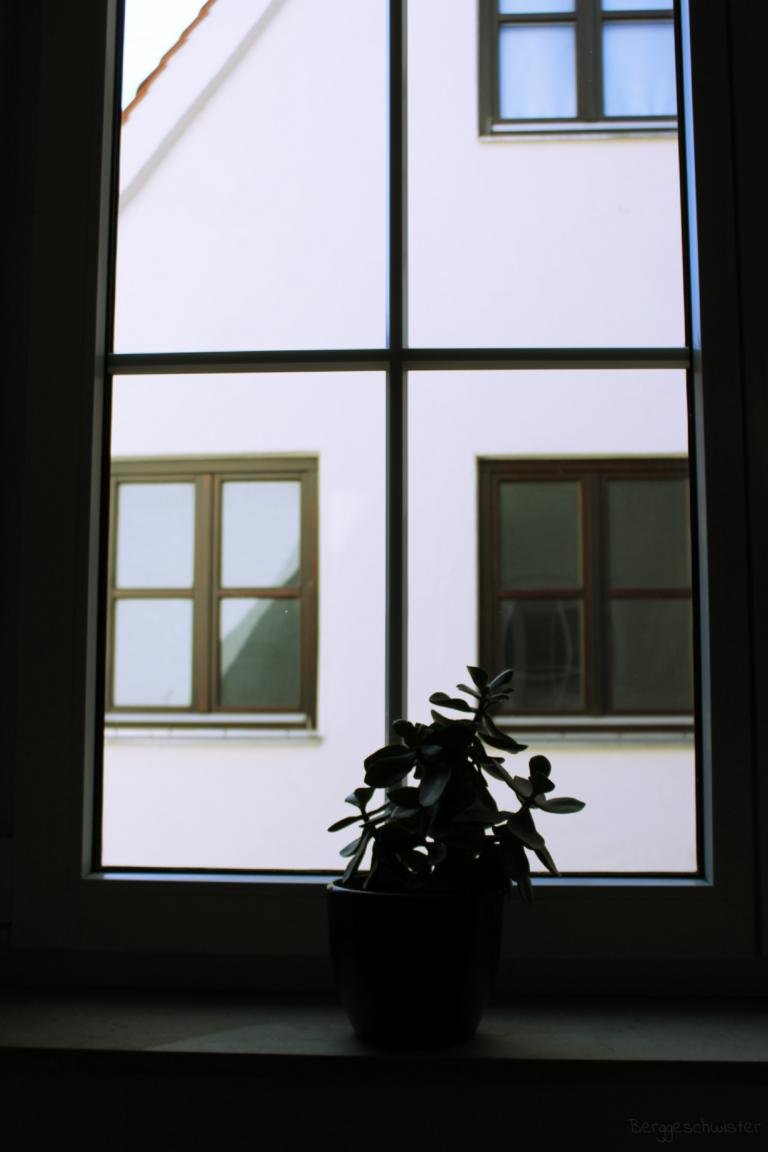 Fenster putzen im Frühling Frühjahrsputz Berggeschwister