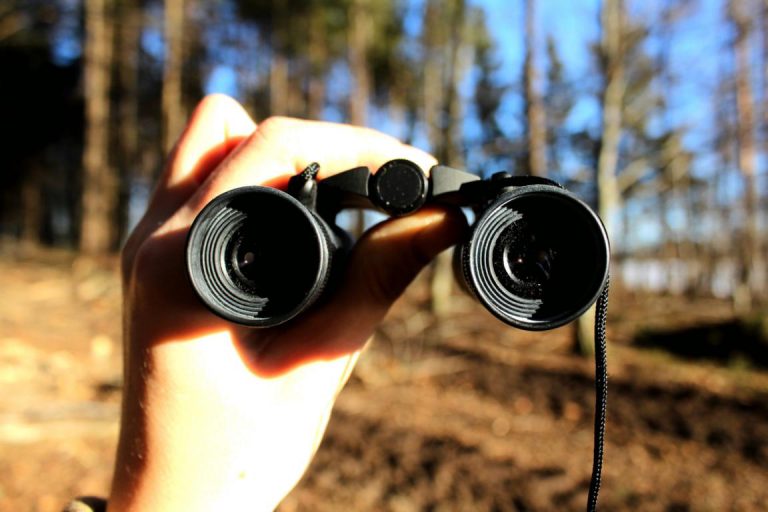 Raus beim ersten Sonnenschein! – Wochenende in Bildern
