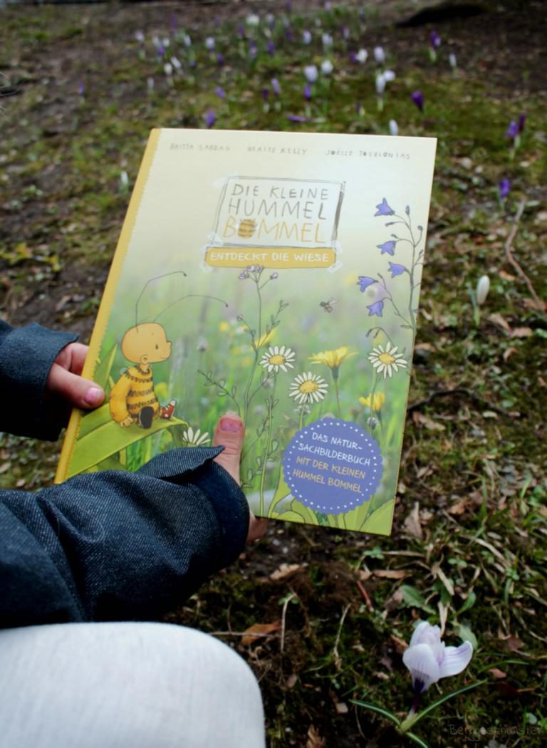 Die kleine Hummel Bommel entdeckt die Wiese – Das Natur-Sachbilderbuch