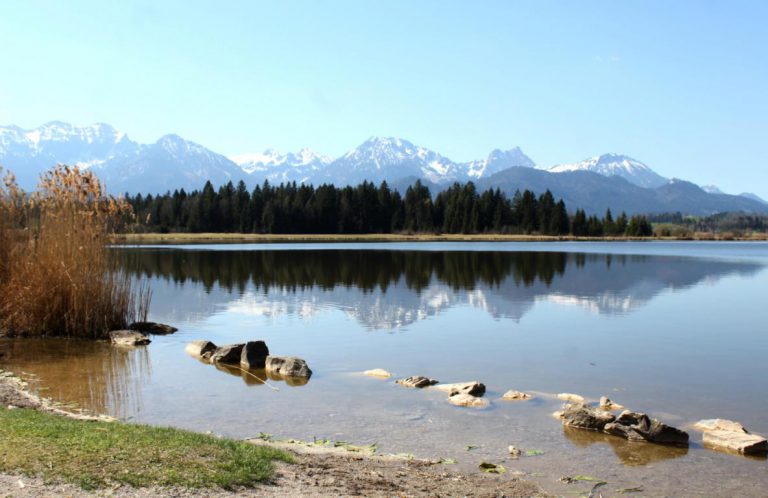 Ufer vom Hopfensee mit Blick auf die Alpen