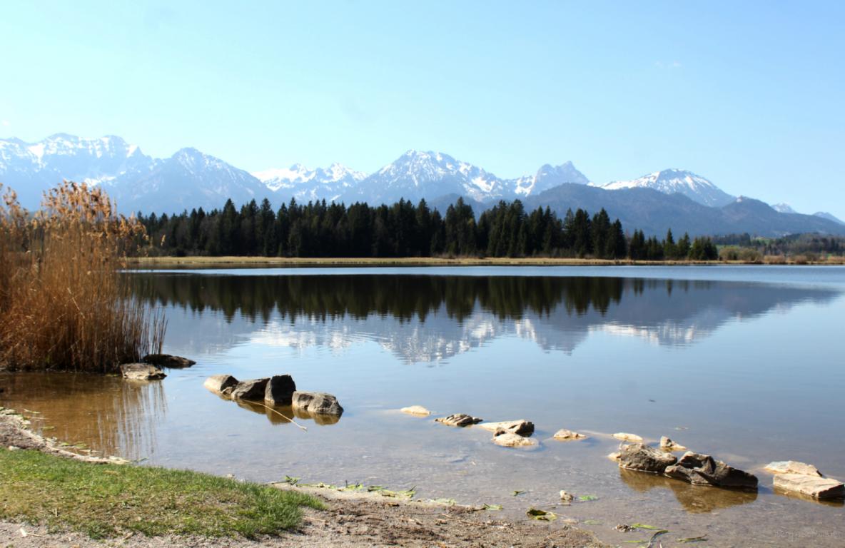 Ufer vom Hopfensee mit Blick auf die Alpen