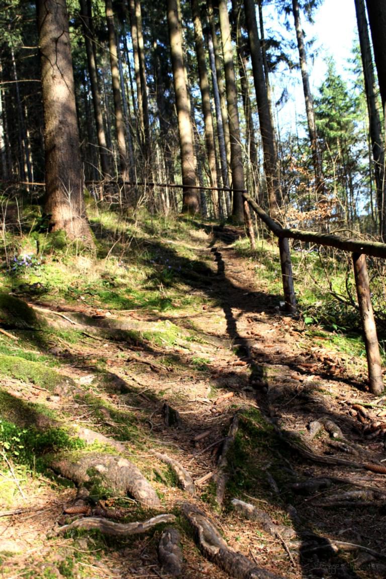 52 Wochen, 52 Bilder: Ich zeig euch meine Heimat in Bildern – 4. Woche