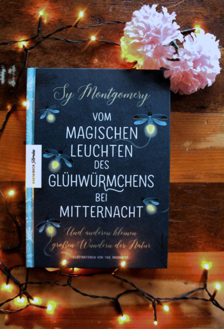 Vom magischen Leuchten des Glühwürmchens bei Mitternacht – Ein (literarischer) Ausflug vor unsere Haustür