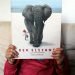 Kind hält der Buch Der Elefant von Jenni Desmond hoch