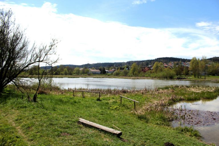 Das Mösle in Oberbeuren