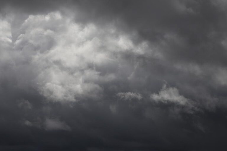 Wochenende in Bildern – und Pilze