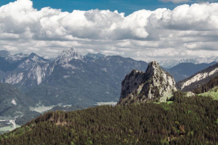 wmdedgt – auf der neuen Arbeit?