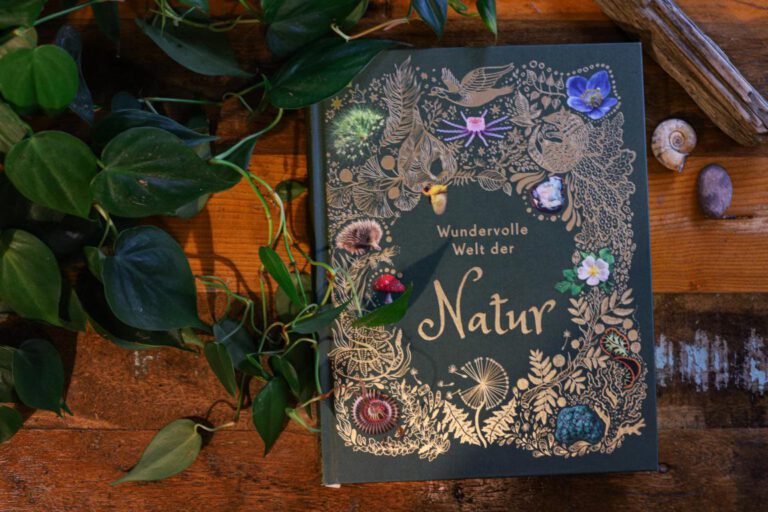 Wundervolle Welt der Natur – Kindersachbuch