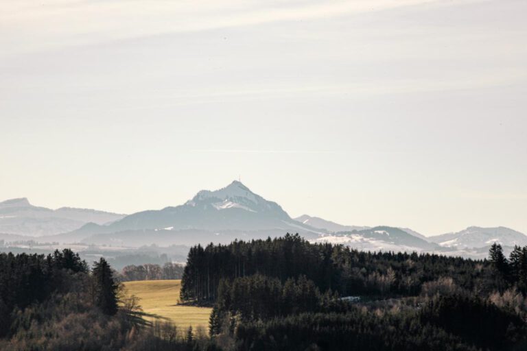 WMDEDGT – an einem ungewöhnlichen Donnerstag?